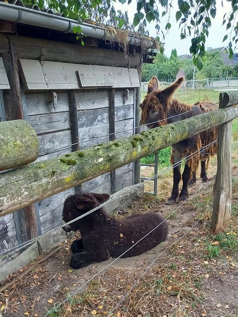 k AHV 2025 0816 Selm WH 1